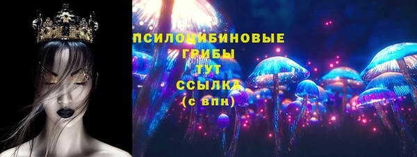 сатива Балахна