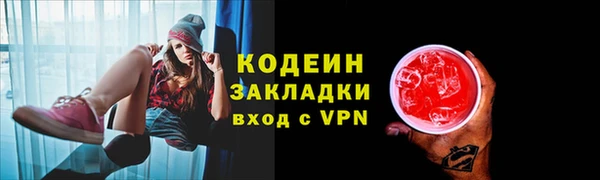 сатива Балахна
