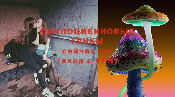 а пвп мука Осинники