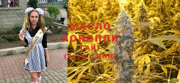 сатива Балахна