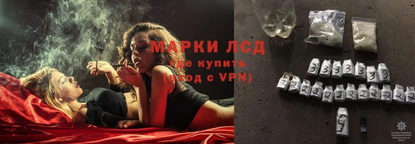 сатива Балахна