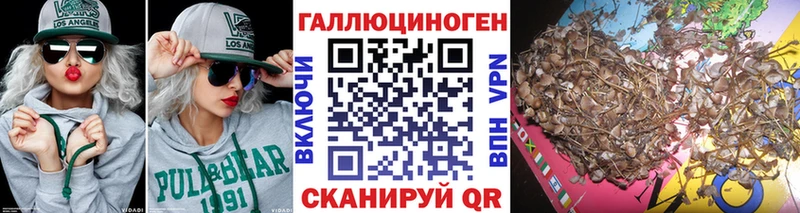 darknet клад  hydra   Вилюйск  Псилоцибиновые грибы прущие грибы 